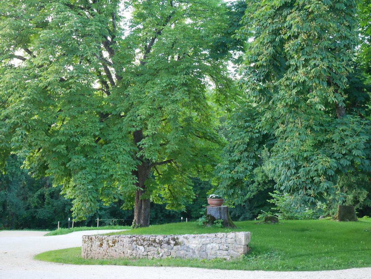 Les Maisons Du Cheylard-Lascaux Villa Les Farges  Luaran gambar